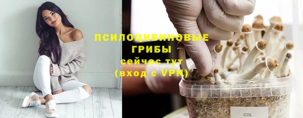а пвп мука Балабаново