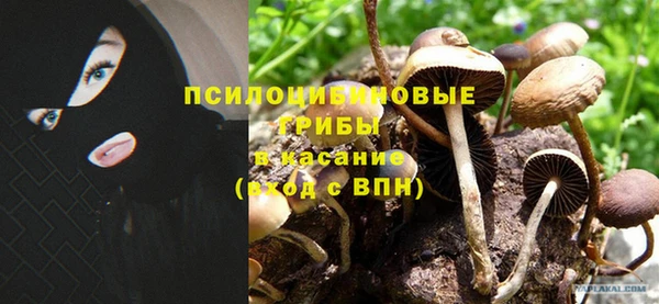 а пвп мука Балабаново