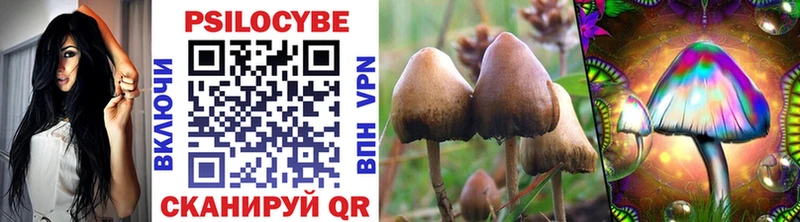 mega ТОР  Разумное  Галлюциногенные грибы Magic Shrooms 